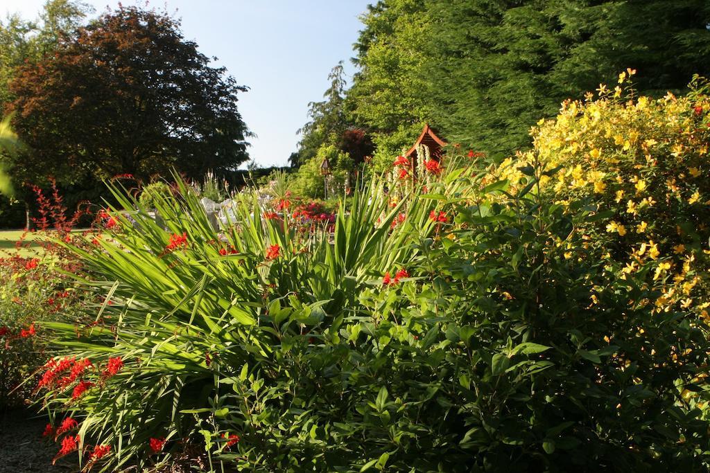 Friars Quarter House Bed & Breakfast Ballinrobe Eksteriør bilde